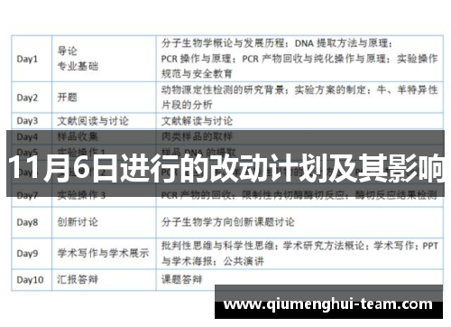 11月6日进行的改动计划及其影响
